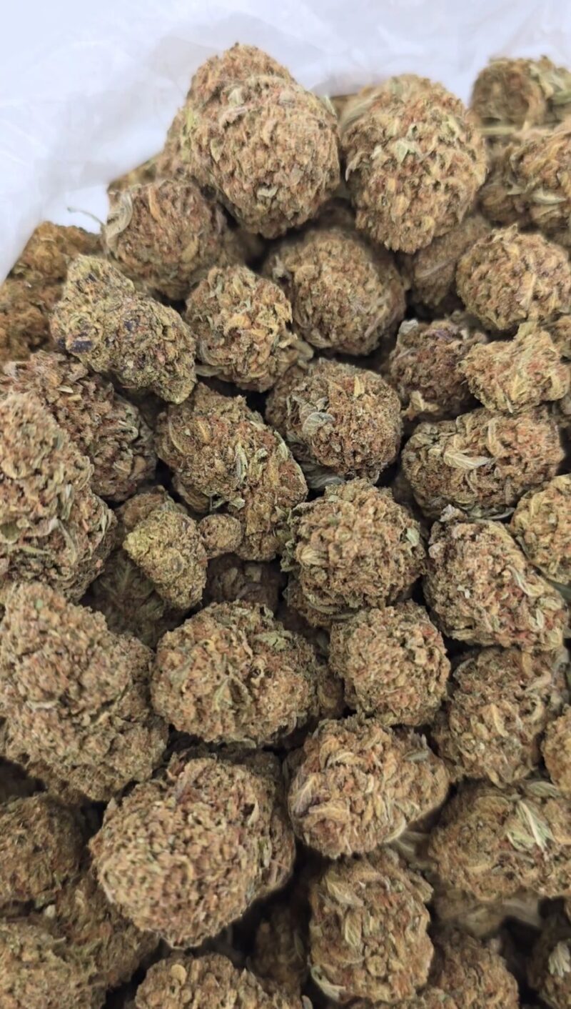 Dragon Breath