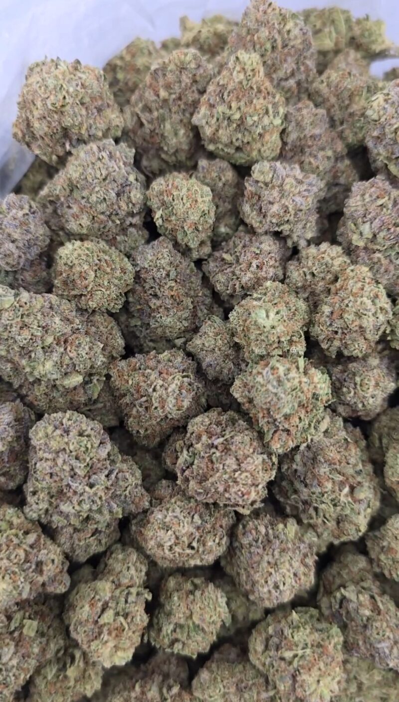 Purple Laughing Gas